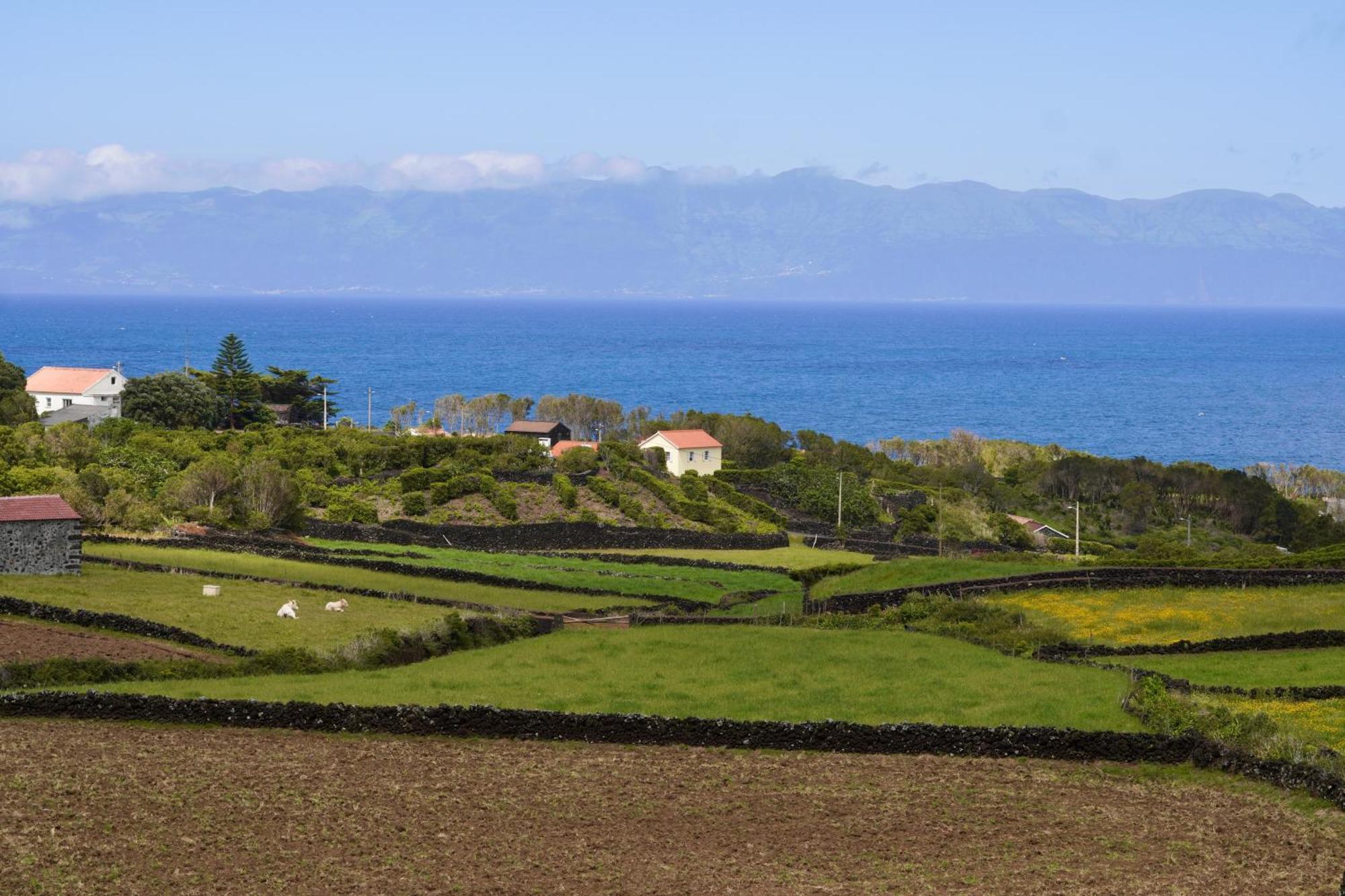 Casas Da Prainha A 빌라 외부 사진